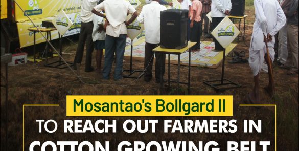 Mosantao's Bollgard II Cotton growing belt Case study Image