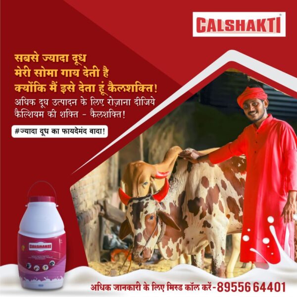 CalShakti Strategic Rural Marketing case study