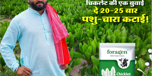 Foragen Seeds Rural Marketing Initiative