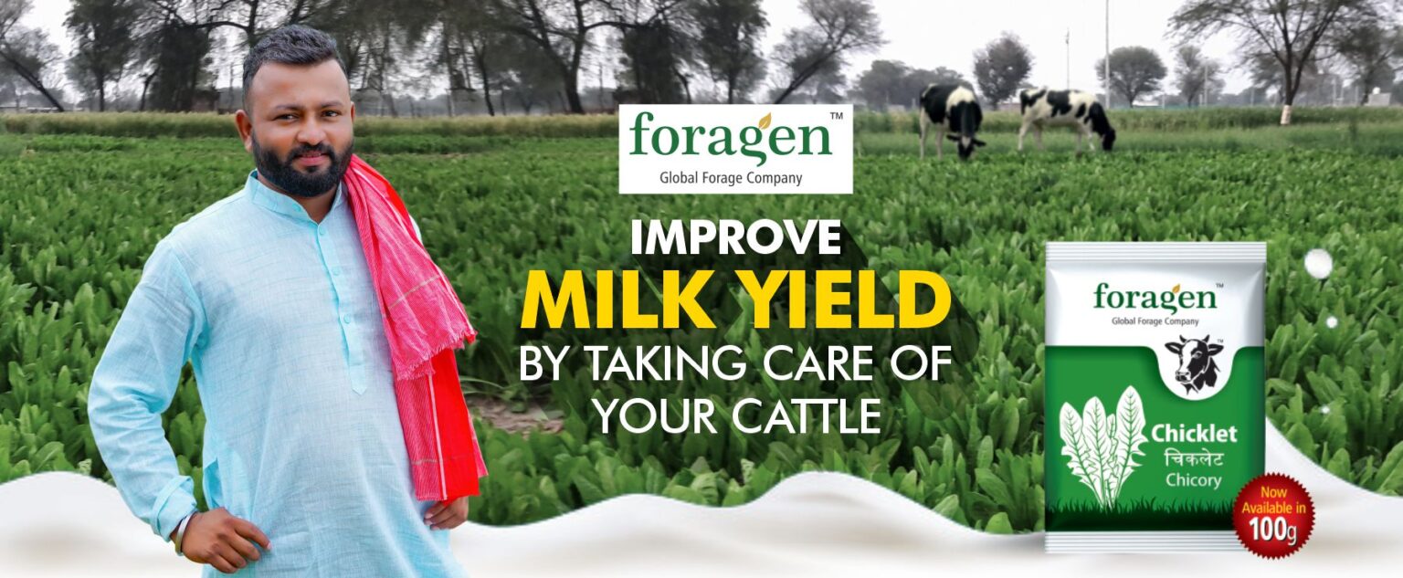 Foragen seeds case study featured image