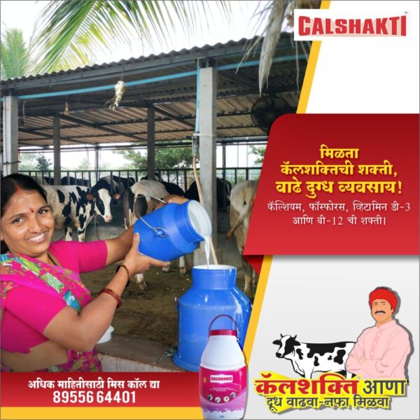 Calshakti Selfie-with-cow rural campaign
