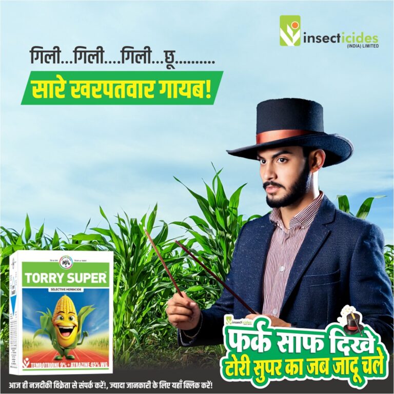 WhatsApp Image 2025-08-30 at 4.52.22 PM