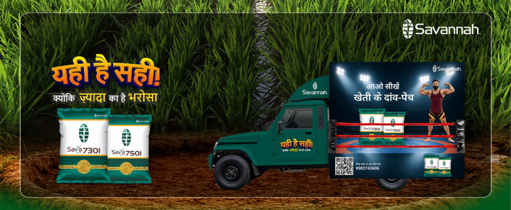 Web banner.jpg 2 scaled