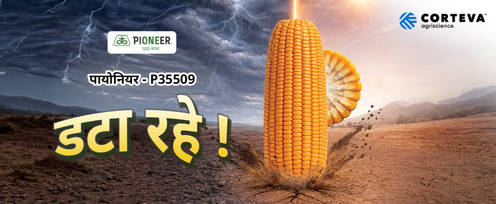 Web banner.jpg scaled