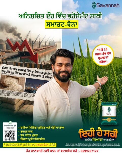 WhatsApp Image 2026 07 03 at 2.16.15 PM 1 scaled