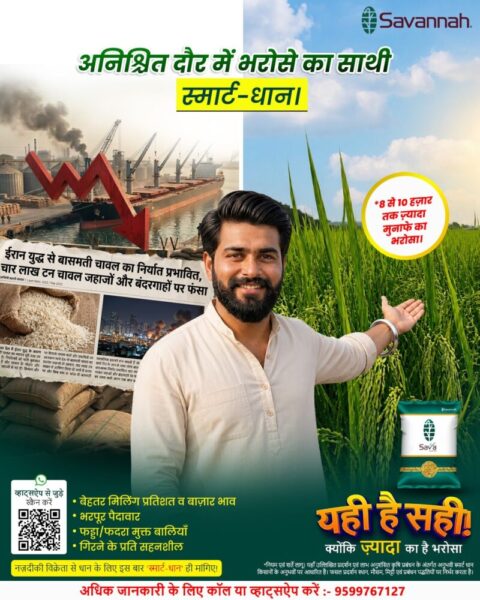 WhatsApp Image 2026 07 03 at 2.16.15 PM scaled