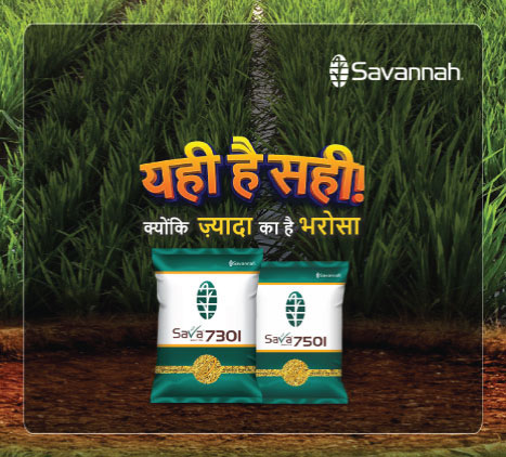 web thumbnails.jpg 1
