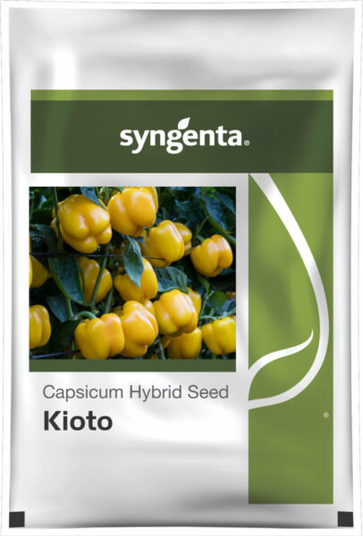 0479P25 SynSeed Capsicum Kioto Packshot ctc 1 scaled