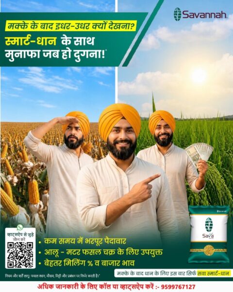 WhatsApp Image 2026 07 03 at 2.16.15 PM 2 scaled