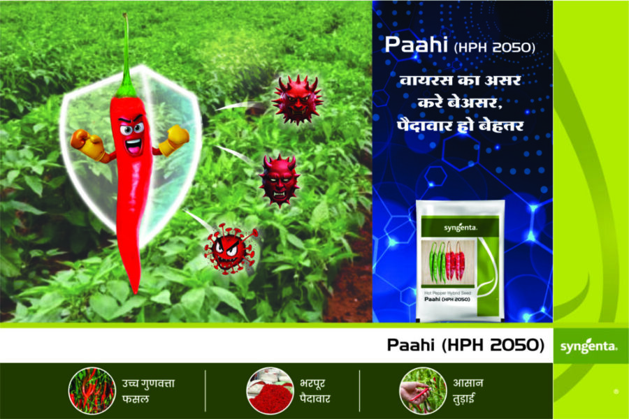 paahi Syngentaa 18 scaled